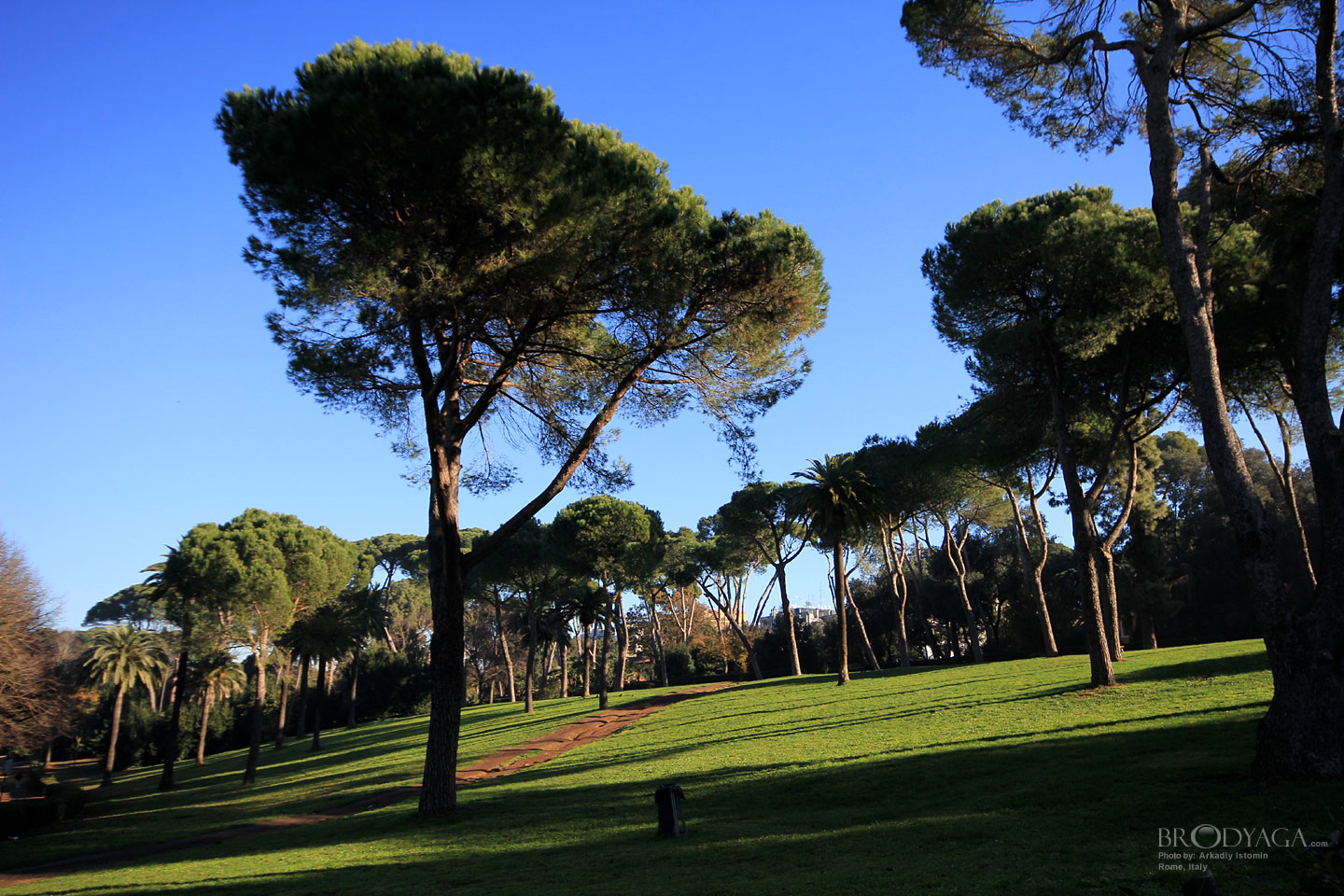 Villa Ada, Rome